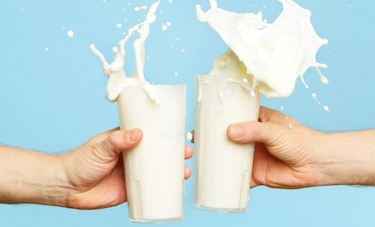 Programa creado en Chile elabora leche y mayonesa con vegetales sin perder sabor original