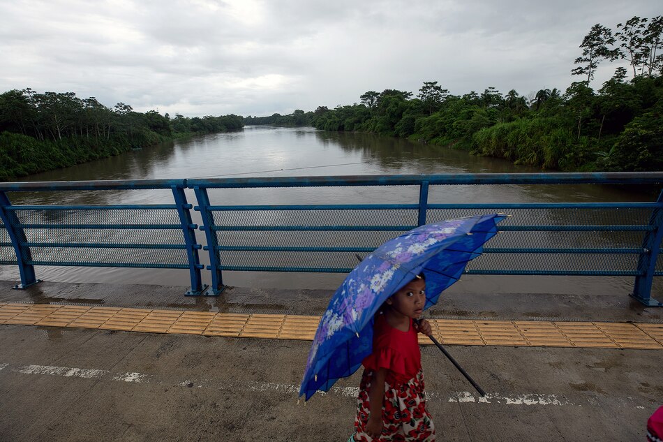 Banano, política y pobreza: la tormenta perfecta en Bocas