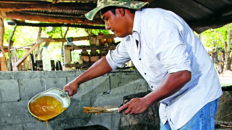 Faena detrás de la popular raspadura
