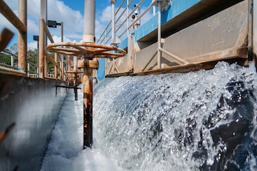 El agua: entre la abundancia aparente y la urgencia real