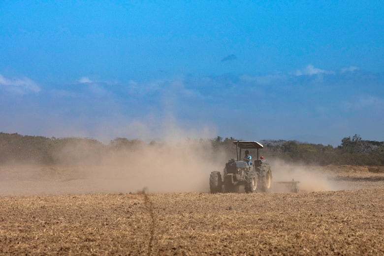 Las cifras que marcaron el final del BDA: 500 millones asignados y tres años en rojo