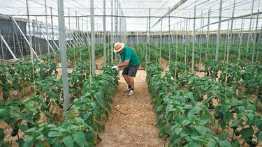 España logra reducir tasa de desempleo a 14%
