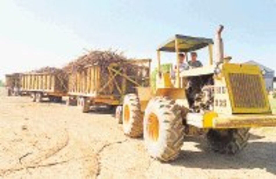 Reporte financiero Mejoran utilidades de azucarera La Estrella