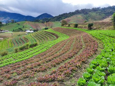 La agricultura confinada