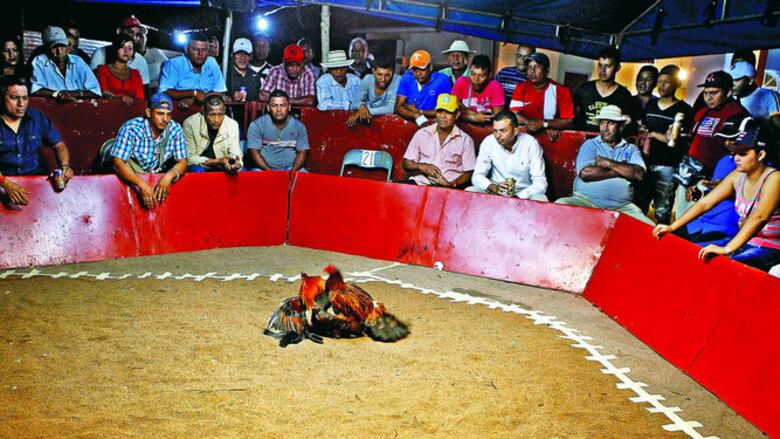 Tradición de patronales