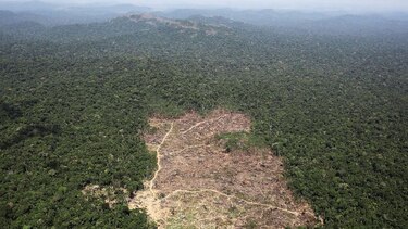 Deforestación se acelera en el Amazonas