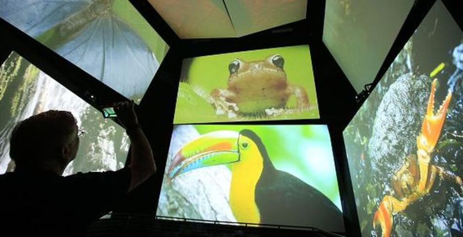 Biomuseo es nominado al 'Oscar' de las entidades culturales