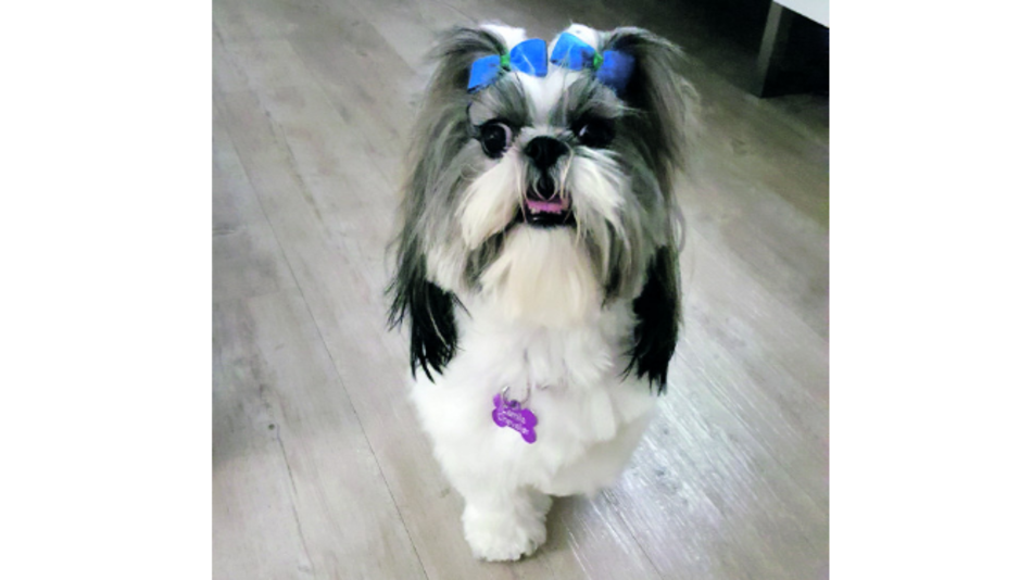 Camille Chevalier es muy consentida