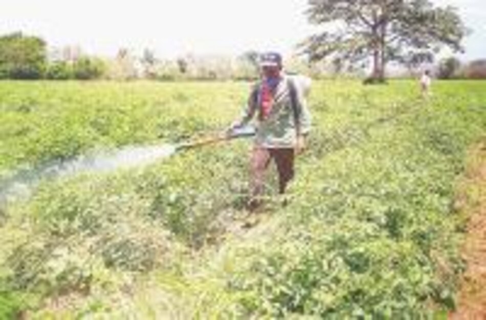 CA analiza perspectivas