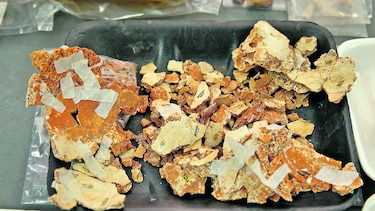 Huellas del pasado en Cerro Juan Díaz