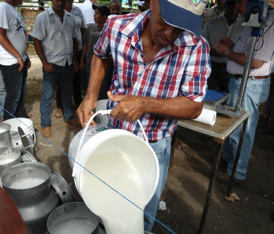 Lecheros piden al gobierno que compre el excedente de leche