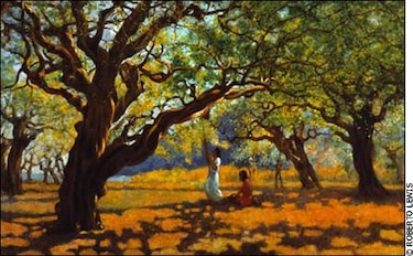 Los Tamarindos de Lewis