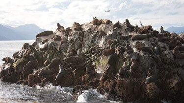 Argentina reitera reclamación sobre las Malvinas en el 182 aniversario