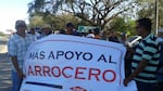 Arroceros protestan para exigir un alto a importaciones del grano