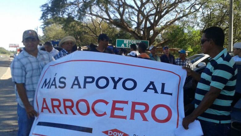 Arroceros protestan para exigir un alto a importaciones del grano