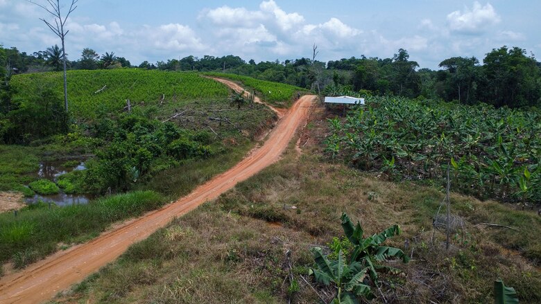 Los rostros del hambre tras la crisis de la coca en Colombia