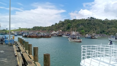 Clausura oficial de la veda del camarón marca el inicio de la temporada de pesca en Panamá