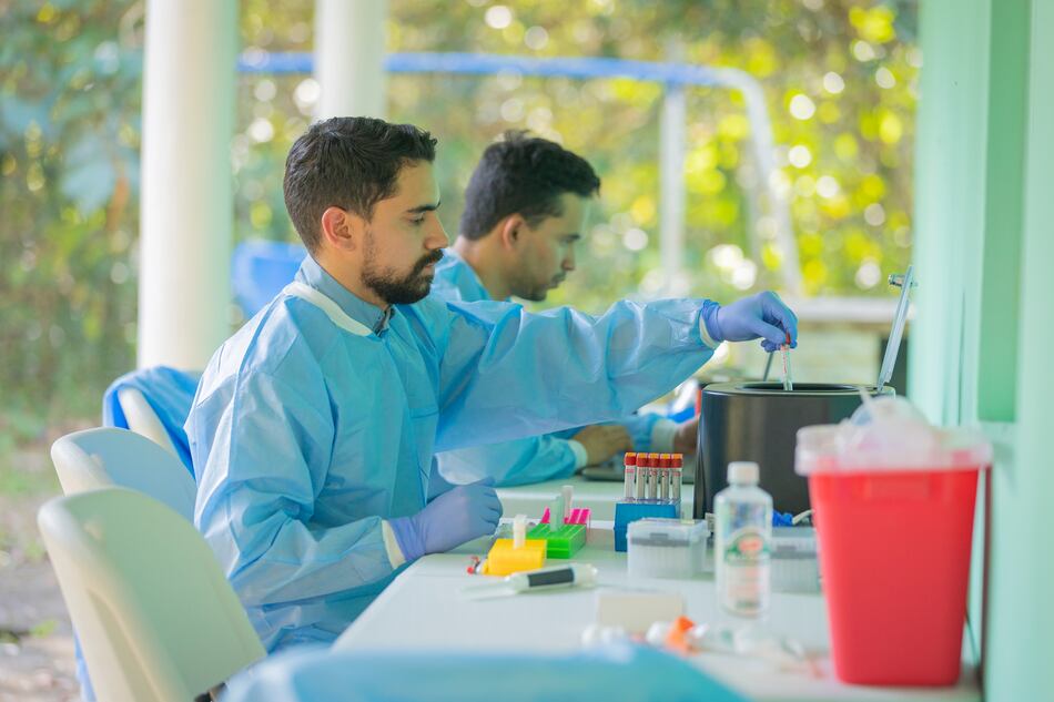 Instituto Gorgas: Roedores, los principales reservorios de la encefalitis equina del este