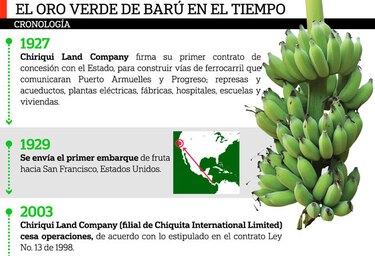 Banapiña iniciaría en diciembre