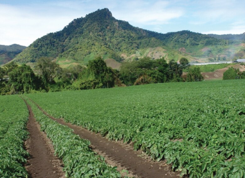 Pérdida millonaria por el paso de Eta