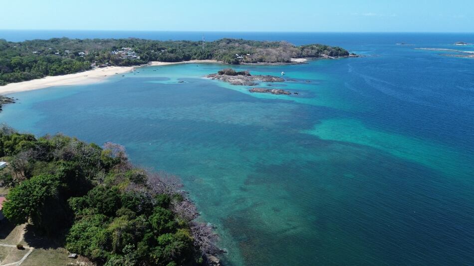 Panamá suma otro espacio protegido: Refugio de Vida Silvestre Saboga