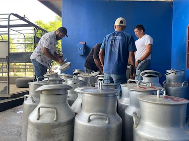 Leche con sello ‘Hecho en Panamá’, la propuesta que surgió del acuerdo entre Nestlé y el Gobierno para competir con los productores de imitación