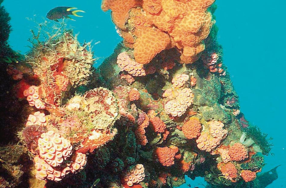 Unesco celebra reunión del Comité de Patrimonio Mundial