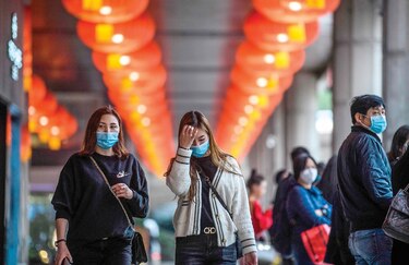 Murciélagos, serpientes y el origen del virus