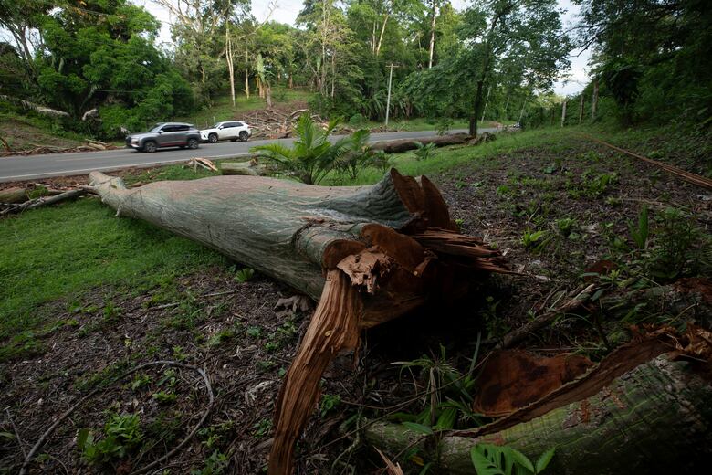 Arimae: La furia en tierras colectivas