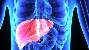 La lucha contra la hepatitis