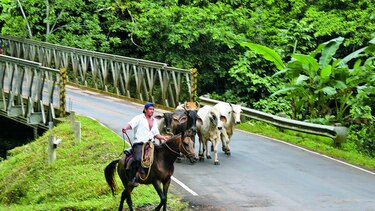 Alcaldía y matarifes chorreranos pactan