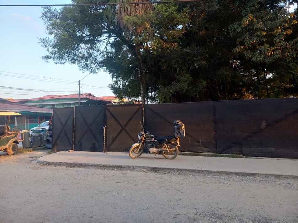 Residentes de Isla Colón piden detener la tala de árboles en el proyecto de rehabilitación urbana