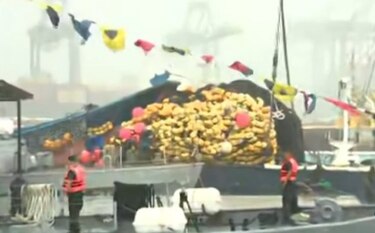 Embarcación colisiona contra muelle de Rodman durante visita del jefe del Pentágono