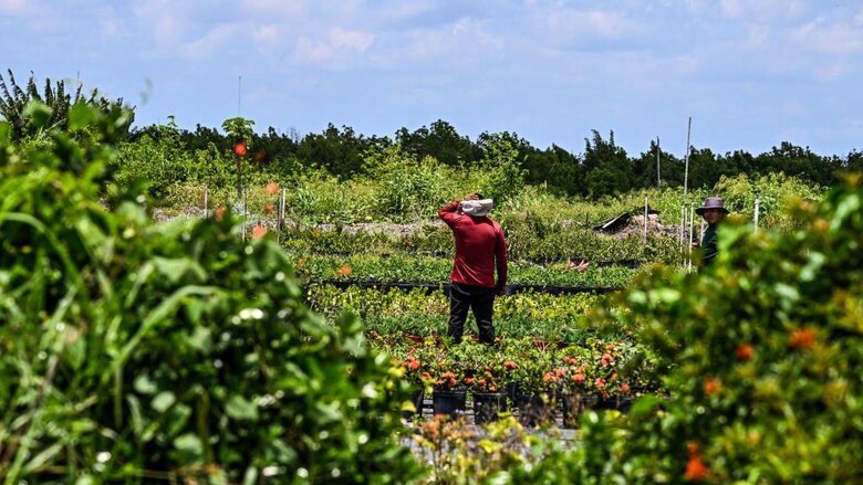 ‘Estamos aterrorizados’: los indocumentados en Estados Unidos que no van a trabajar por miedo a ser detenidos
