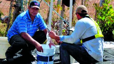 Mala calidad de aguas subterráneas en Parita
