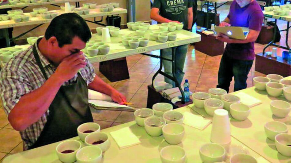 78 lotes de café en cata internacional, en Boquete