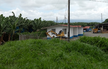 Lo que el gobierno de Panamá le ofreció a Chiquita para reactivar las fincas bananeras en Bocas del Toro