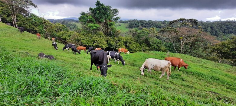 Saldo de las tarjetas de crédito se incrementó 8.60% en octubre y sube la morosidad