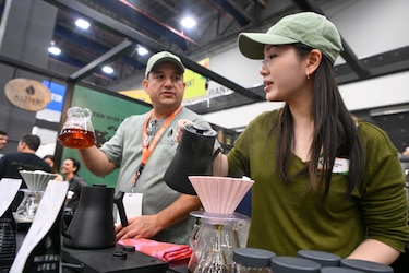 Cambio climático y escasez de mano de obra, los retos de la caficultura en Panamá