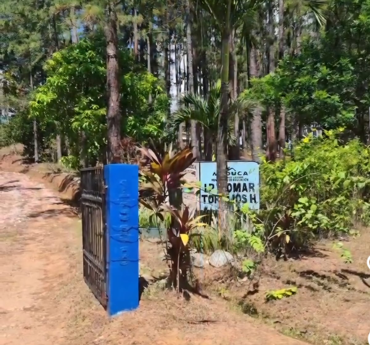 Minsa investiga exposición a agroquímico que afectó a 25 alumnos en Olá