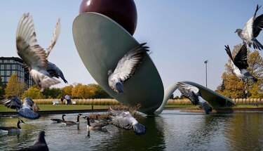 Por qué Mineápolis es una de las ciudades más felices del mundo (y la conexión nórdica que ayuda a explicarlo)