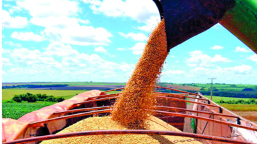 Cargill impulsa producción de etanol