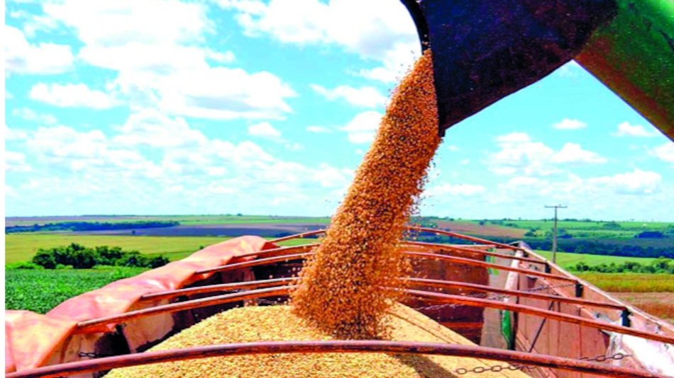 Cargill impulsa producción de etanol