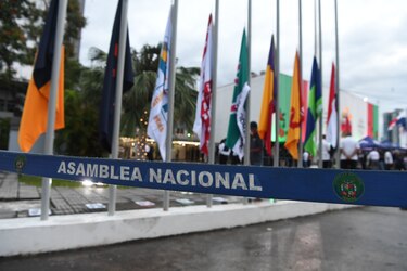 Diputados suplentes en planilla: cobran como asistentes mientras ocupan curules