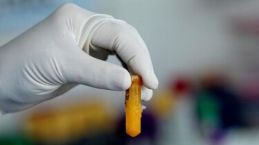 Congreso Nacional de Ciencia y Tecnología reunirá a unos 700 científicos