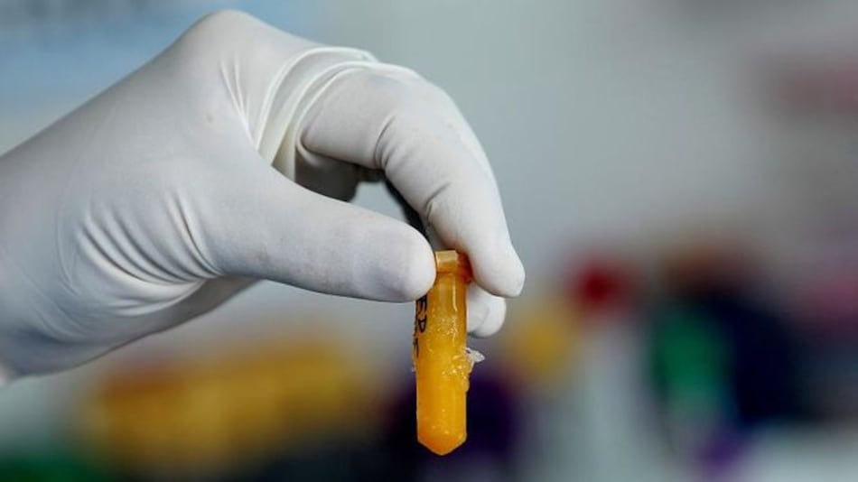 Congreso Nacional de Ciencia y Tecnología reunirá a unos 700 científicos