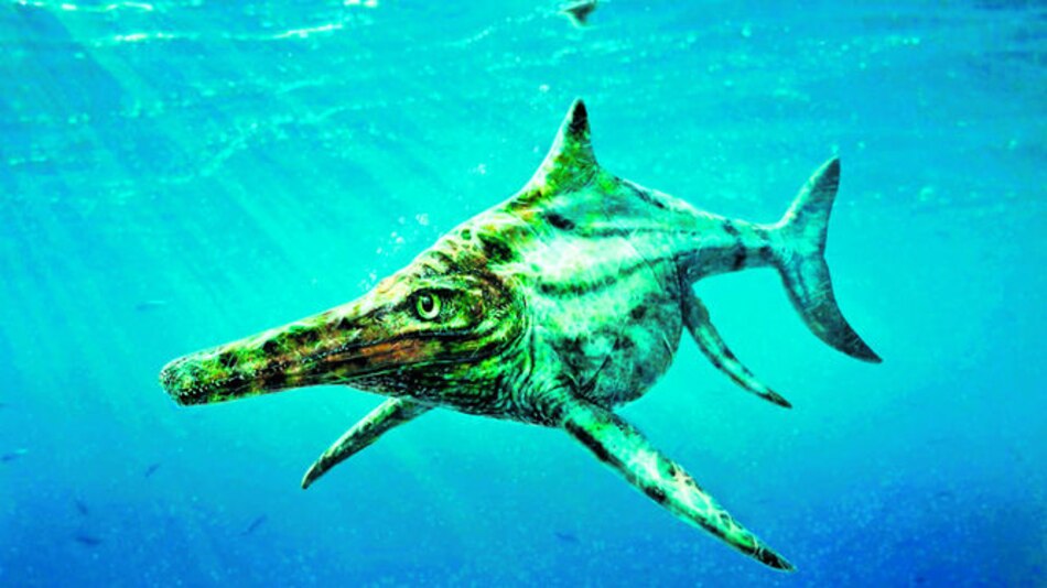 Reptil marino prehistórico escocés