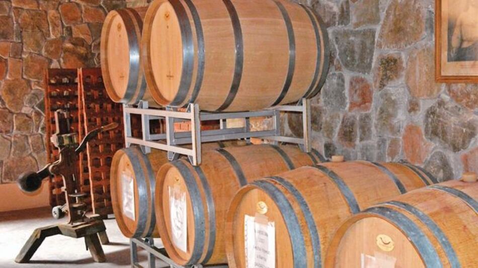 Los vinos de altura de Bolivia están a la conquista del mercado mundial