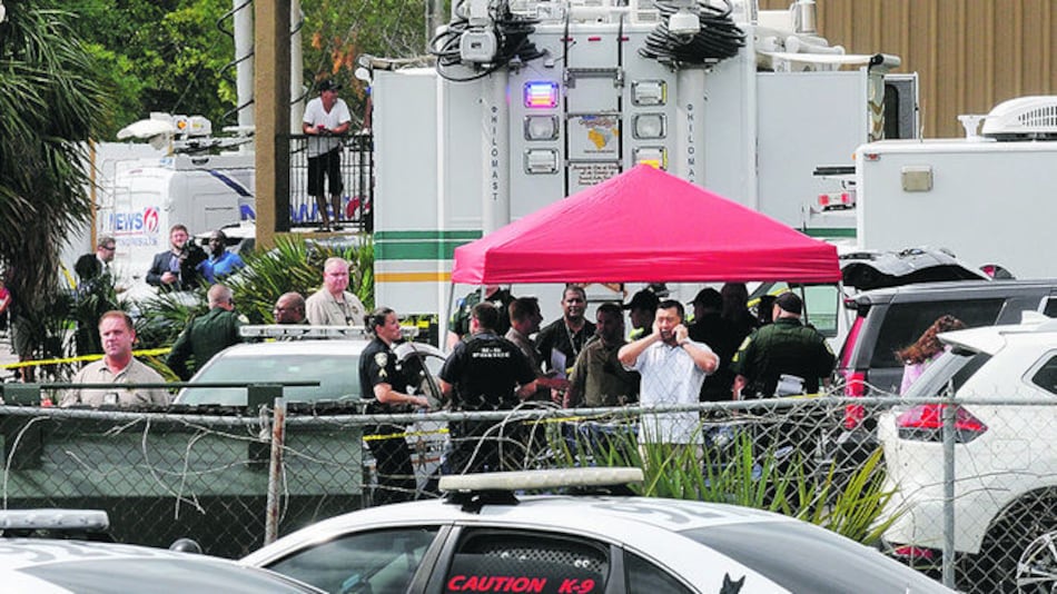 Pulse, un año después