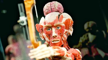 Abre el museo de cadáveres